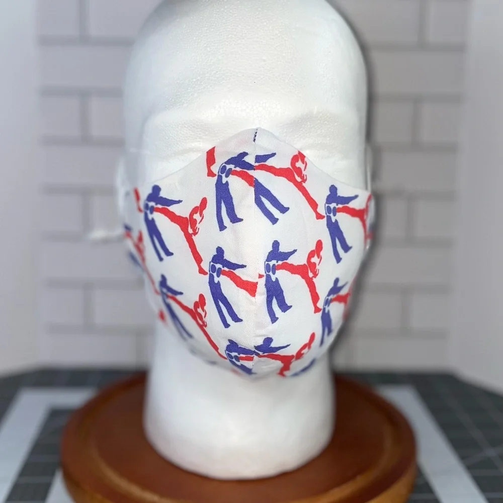 Martial arts facemask taekwondo